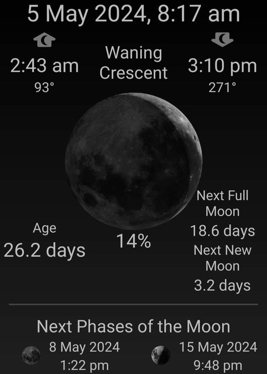 🍃Sunday Speaks 5/5/24