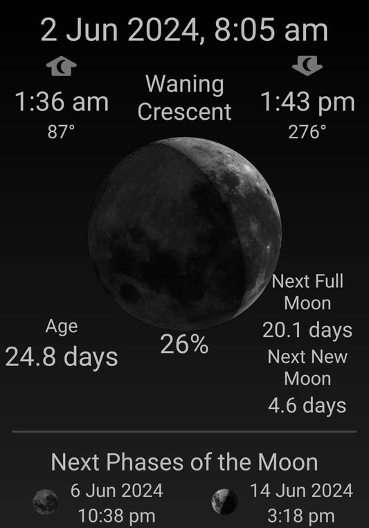 🍃Sunday Speaks 2/6/24