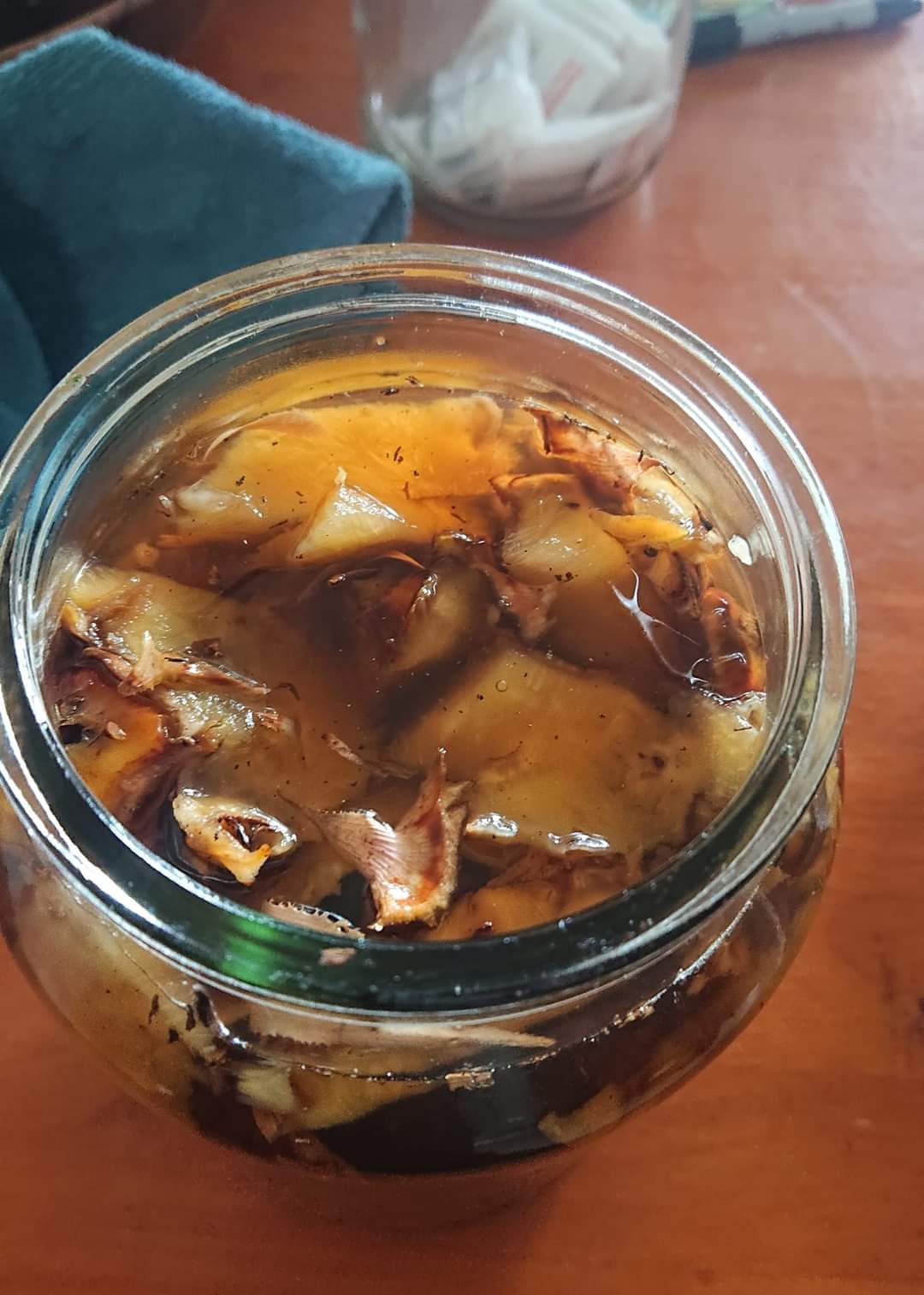 🍃Sunday Speaks  12/8/24