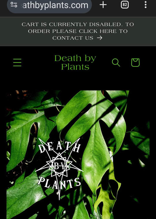 🍃Sunday Speaks  1/9/24