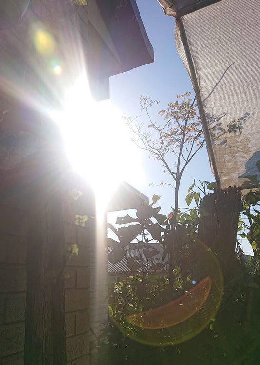 🍃Sunday Speaks  8/9/24