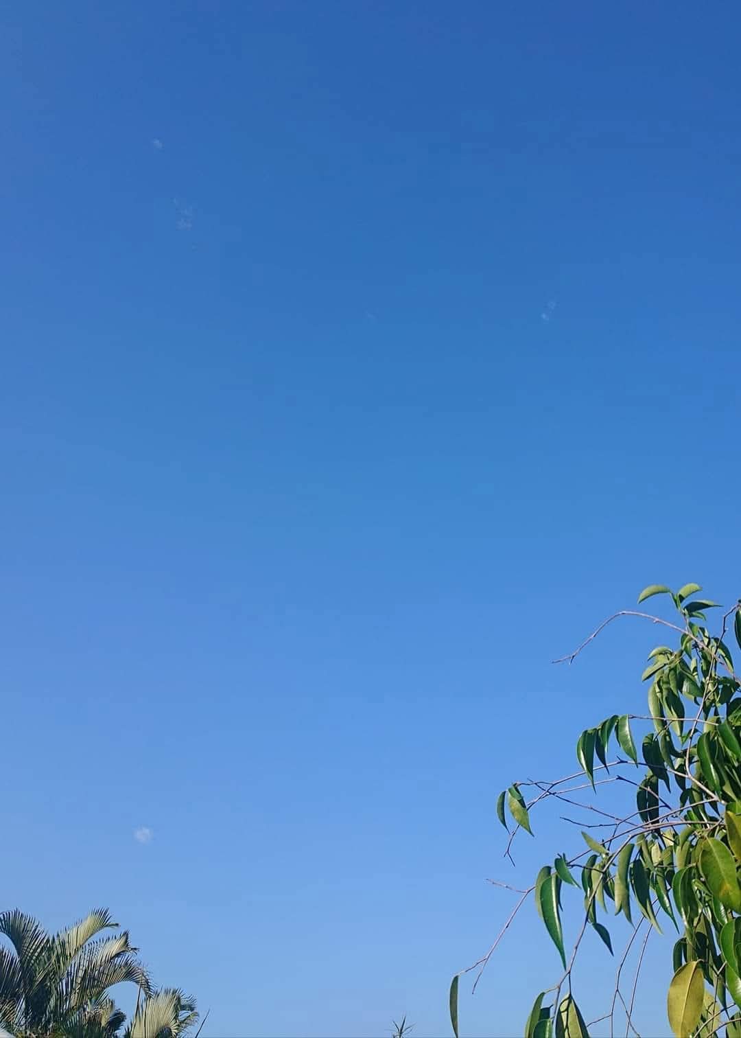 🍃Sunday Speaks 6/10/24