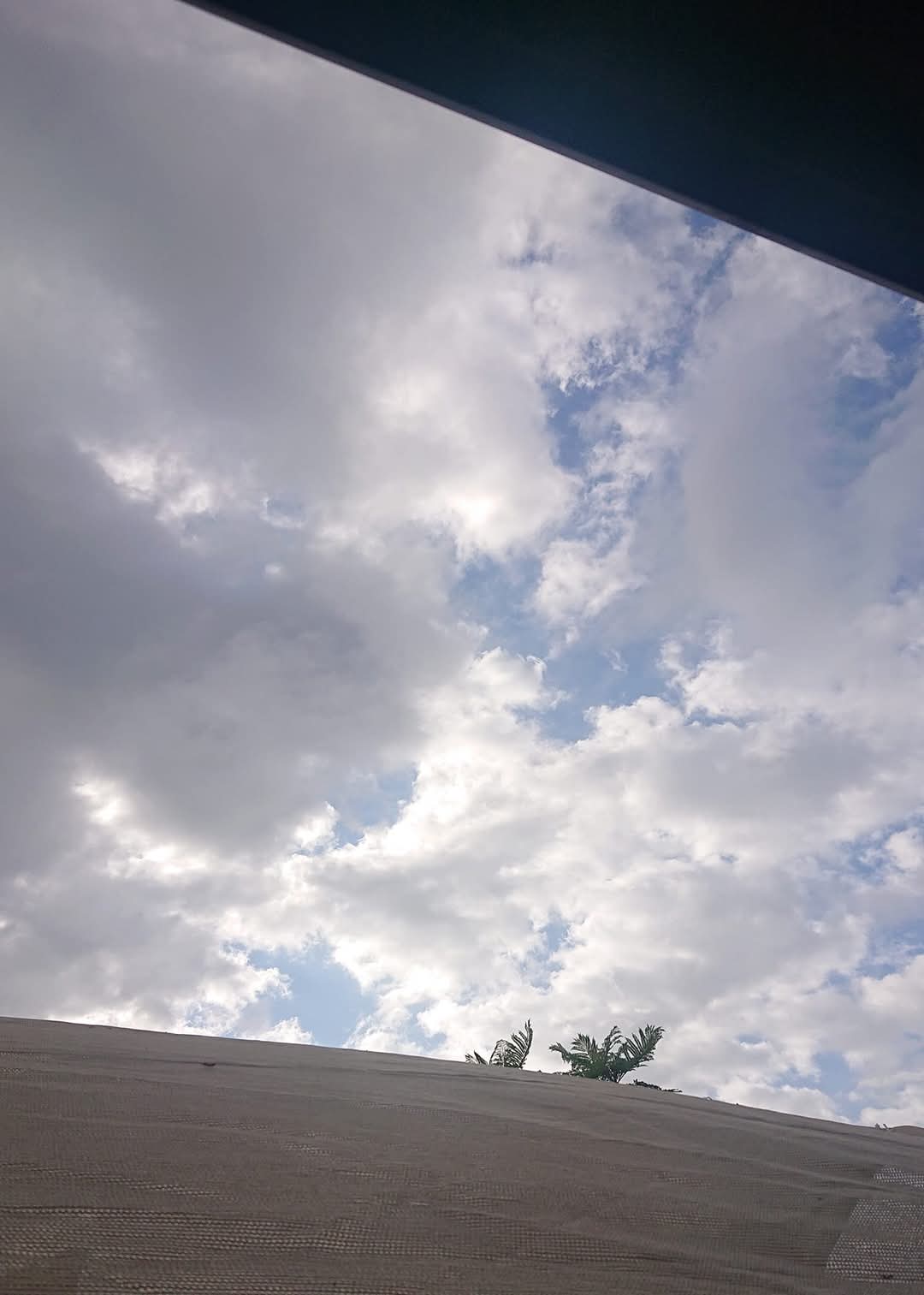 🍃Sunday Speaks 20/10/24