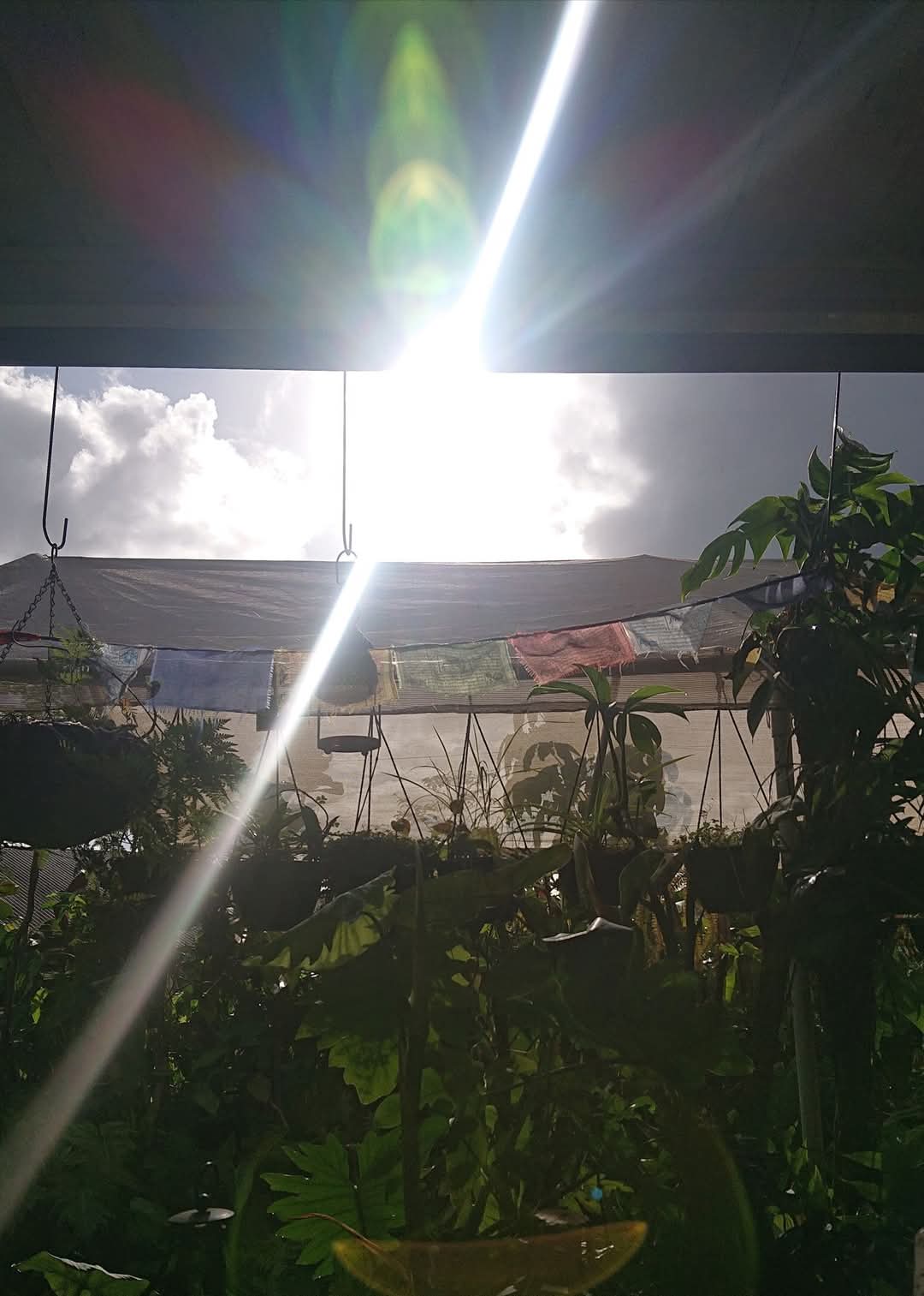 🍃Sunday Speaks 24/11/24