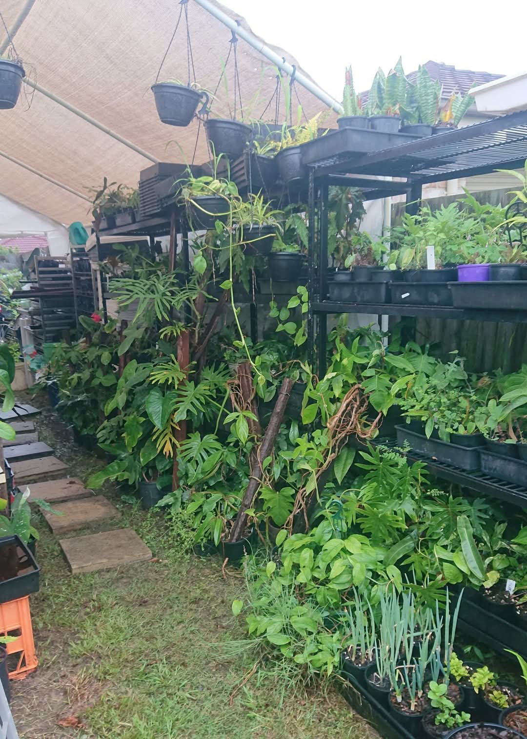 ๐ Sunday Speaks 1/12/24