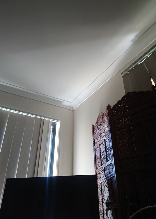 🍃Sunday Speaks 8/12/24