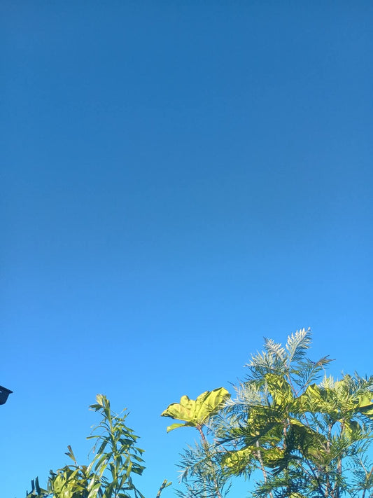 🍃Sunday Speaks  16/3/25