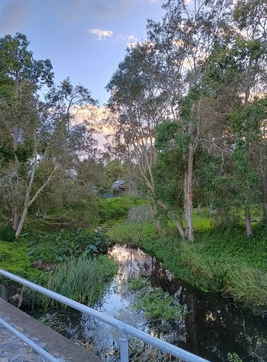 🍃Sunday Speaks  13.4.25