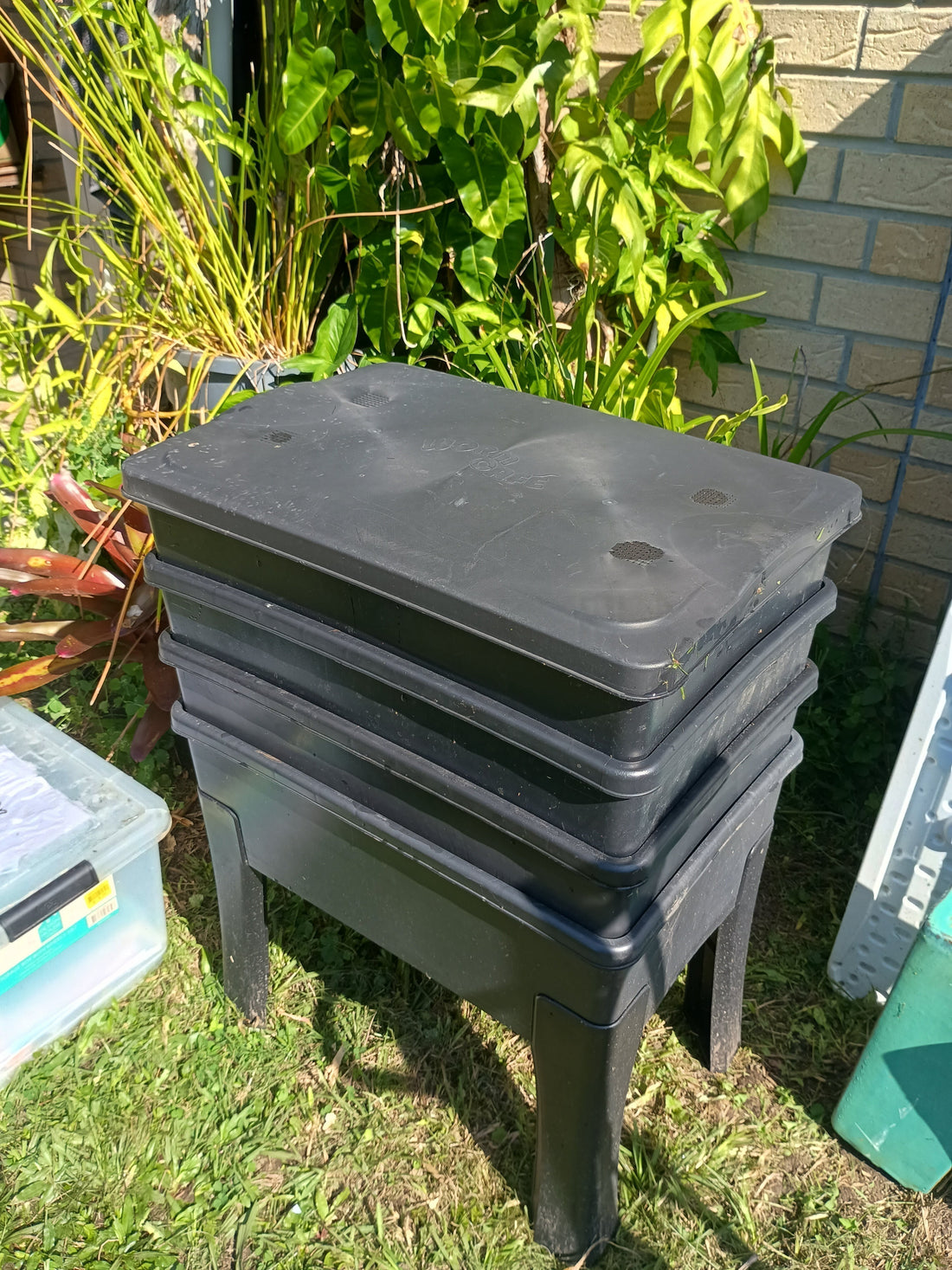 Setting up a rectangular Wormfarm