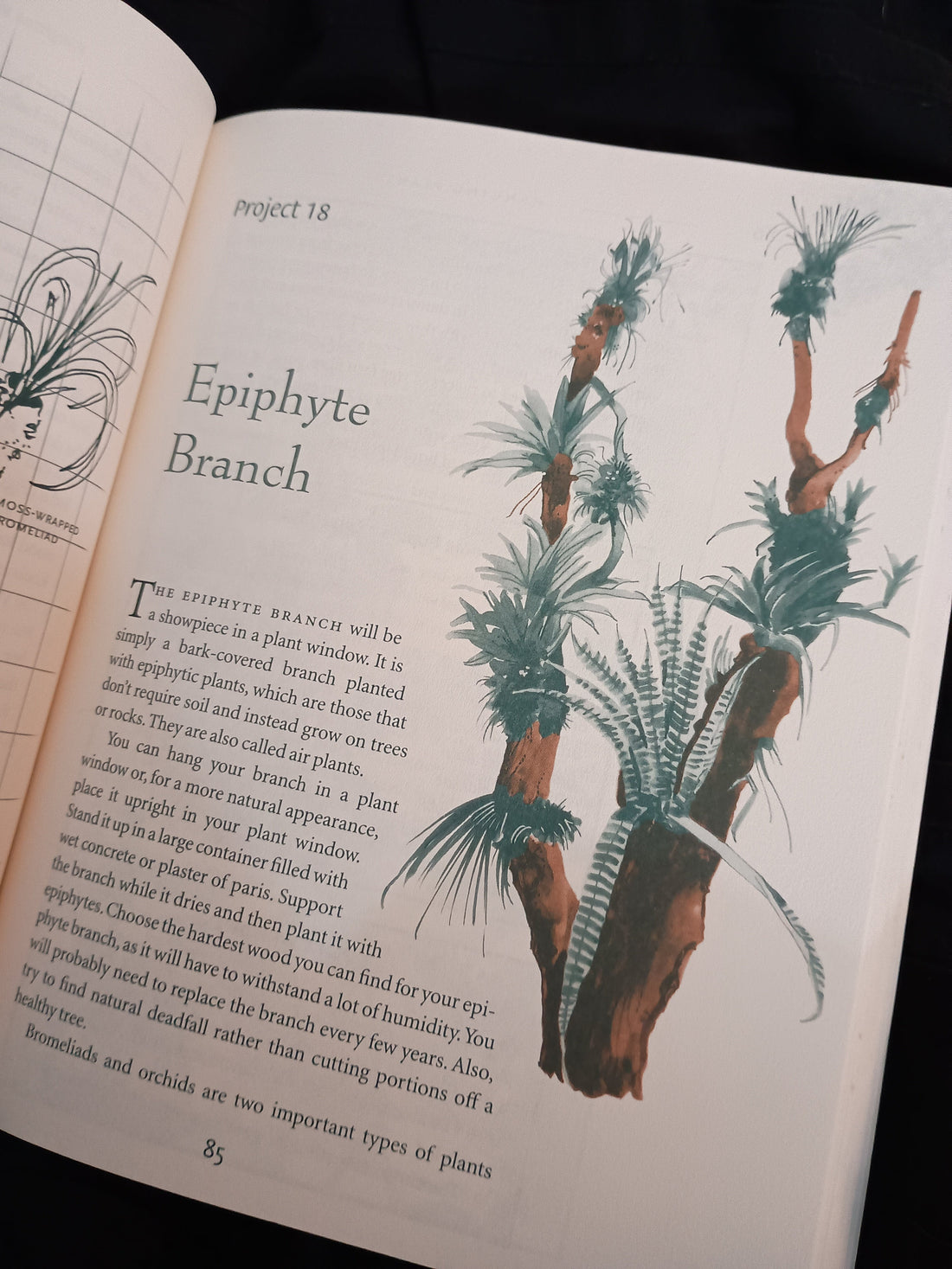 May Opp Shop mini haul