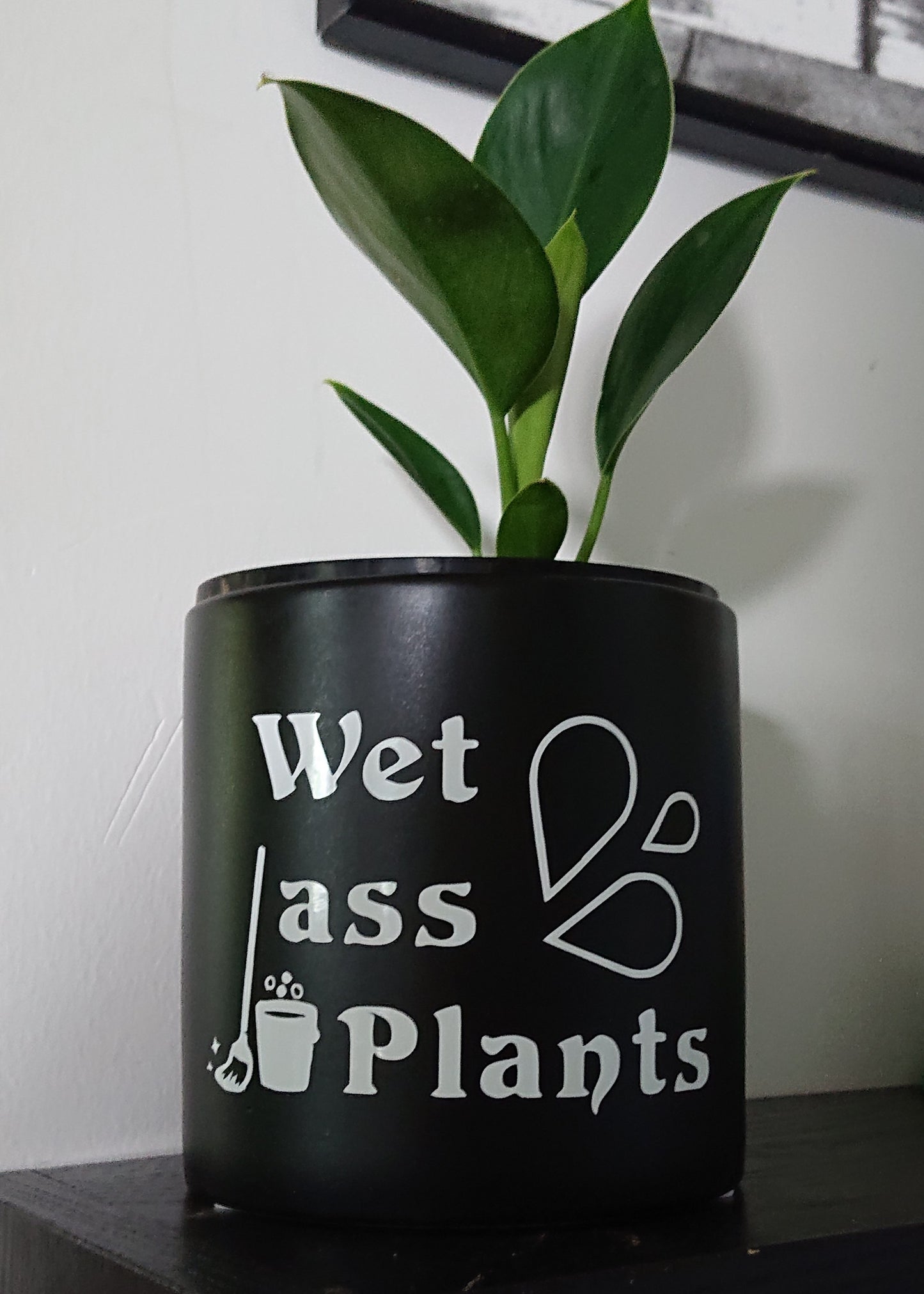 Wet Ass Plants