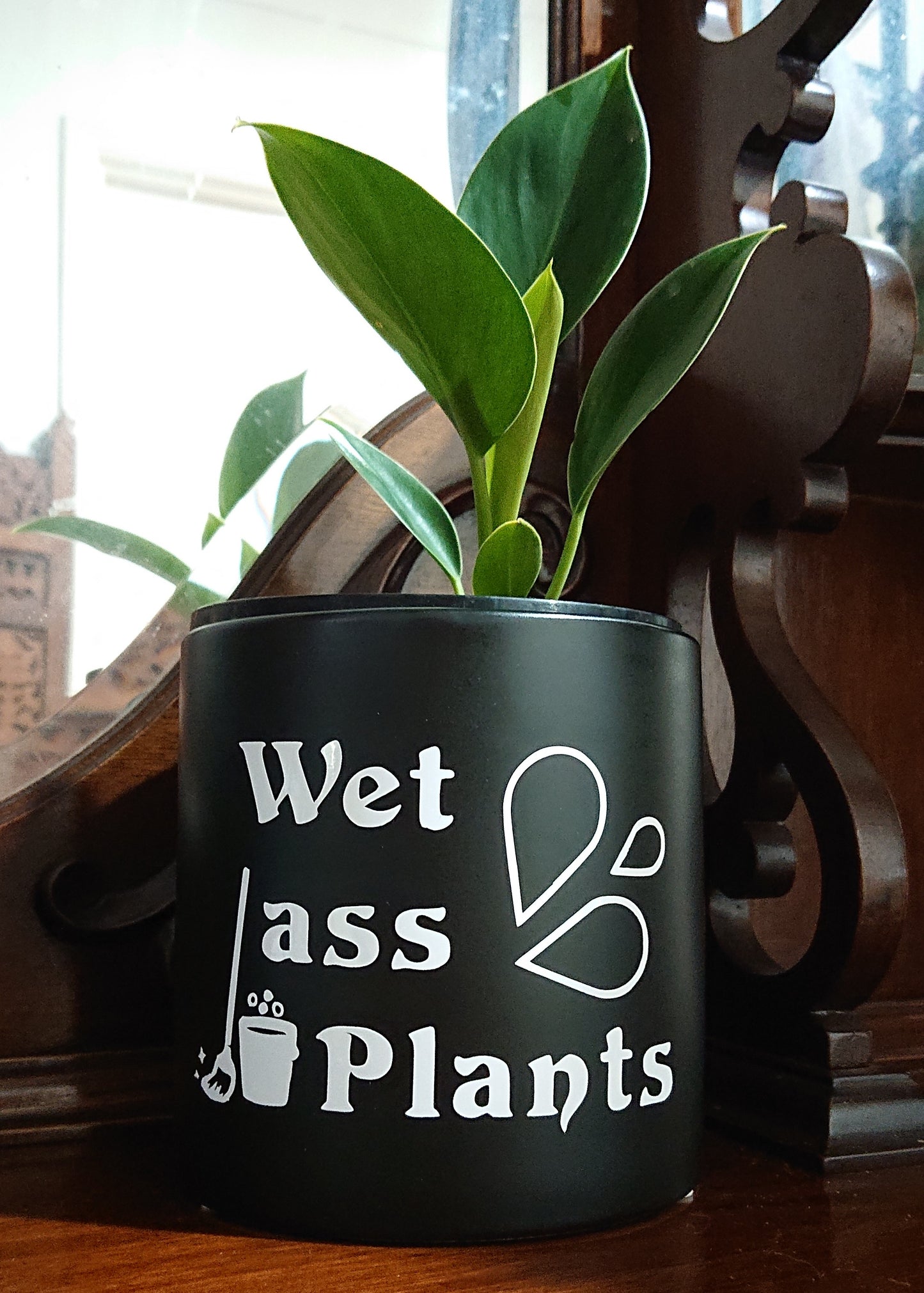 Wet Ass Plants