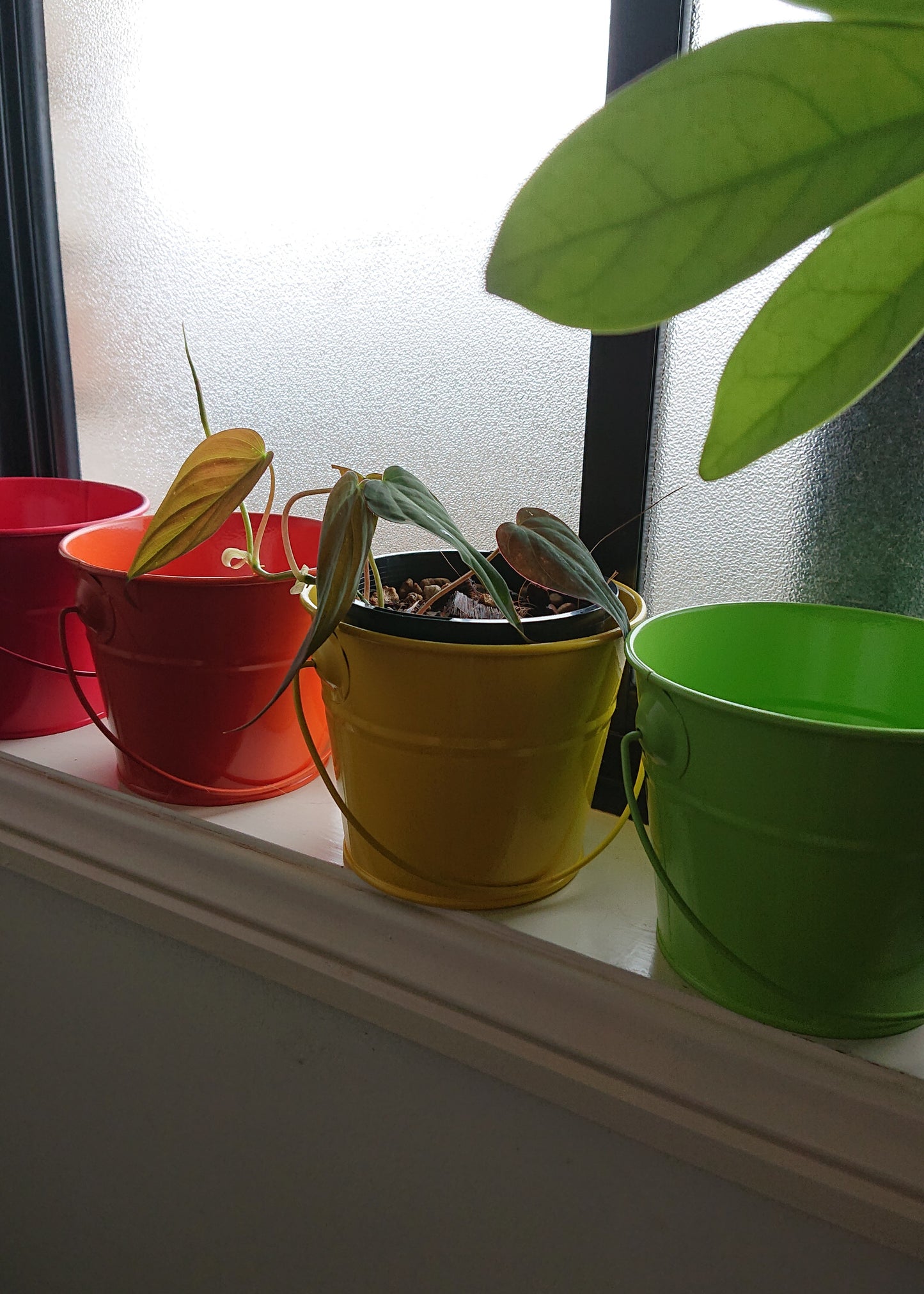 Buckets of Pride 13cm