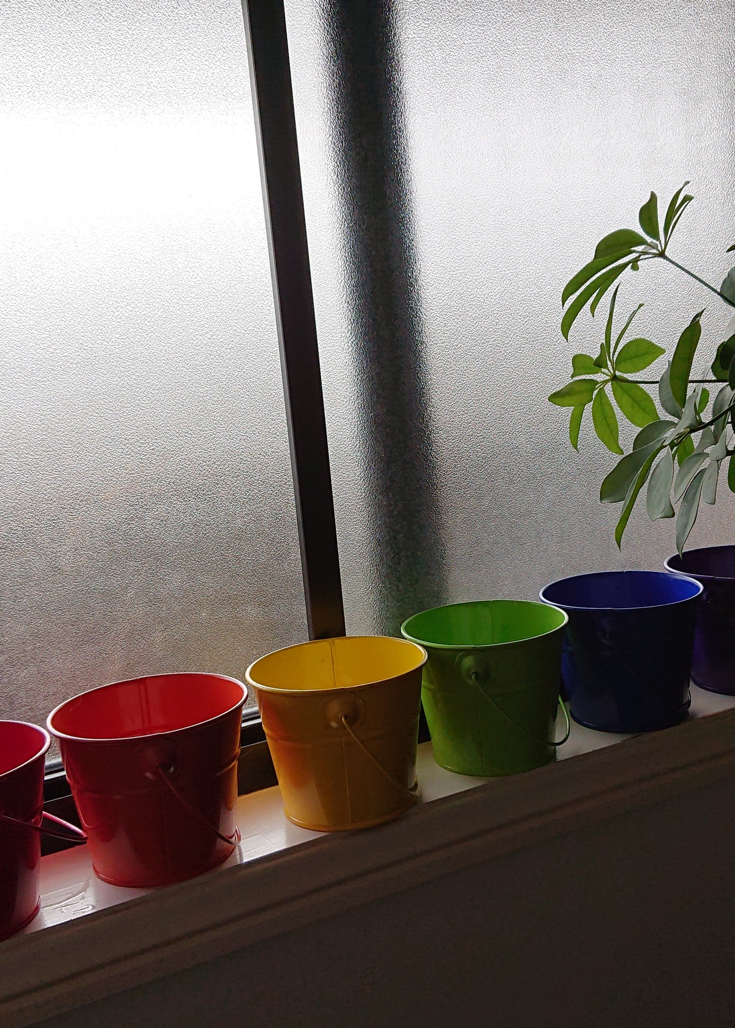 Buckets of Pride 13cm
