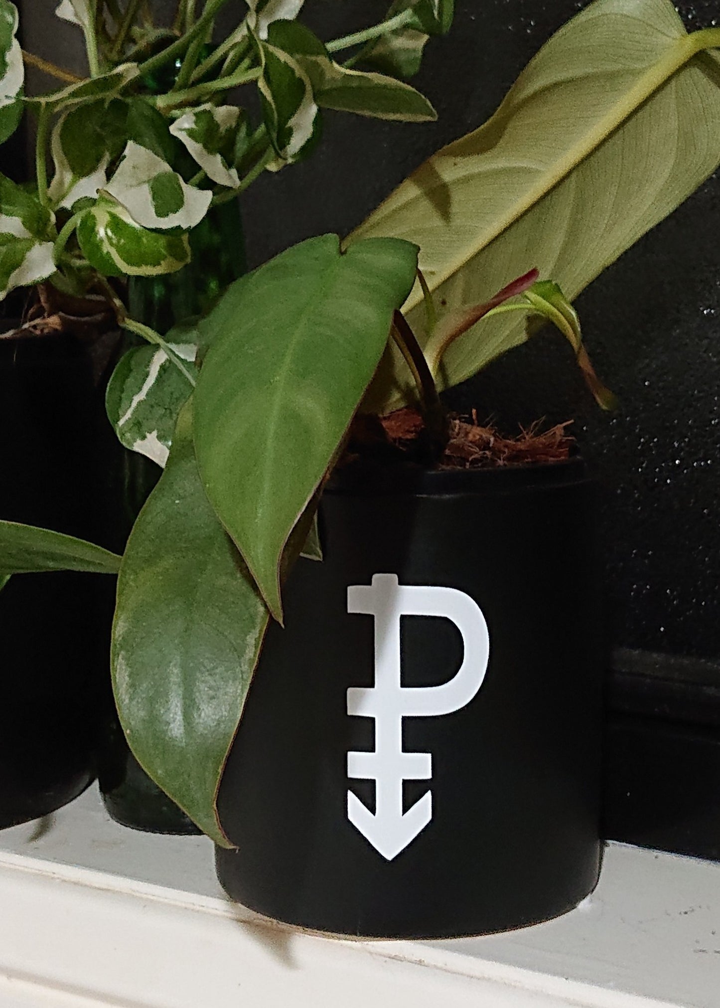 Example Pride Symbology 10cm