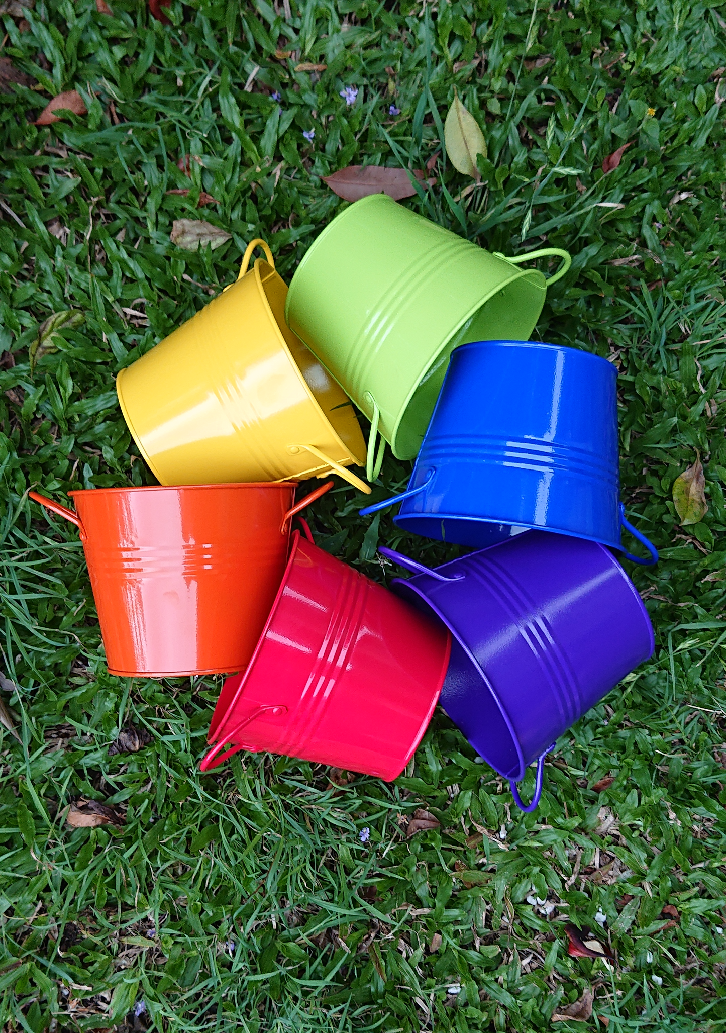 Buckets of Pride 15cm