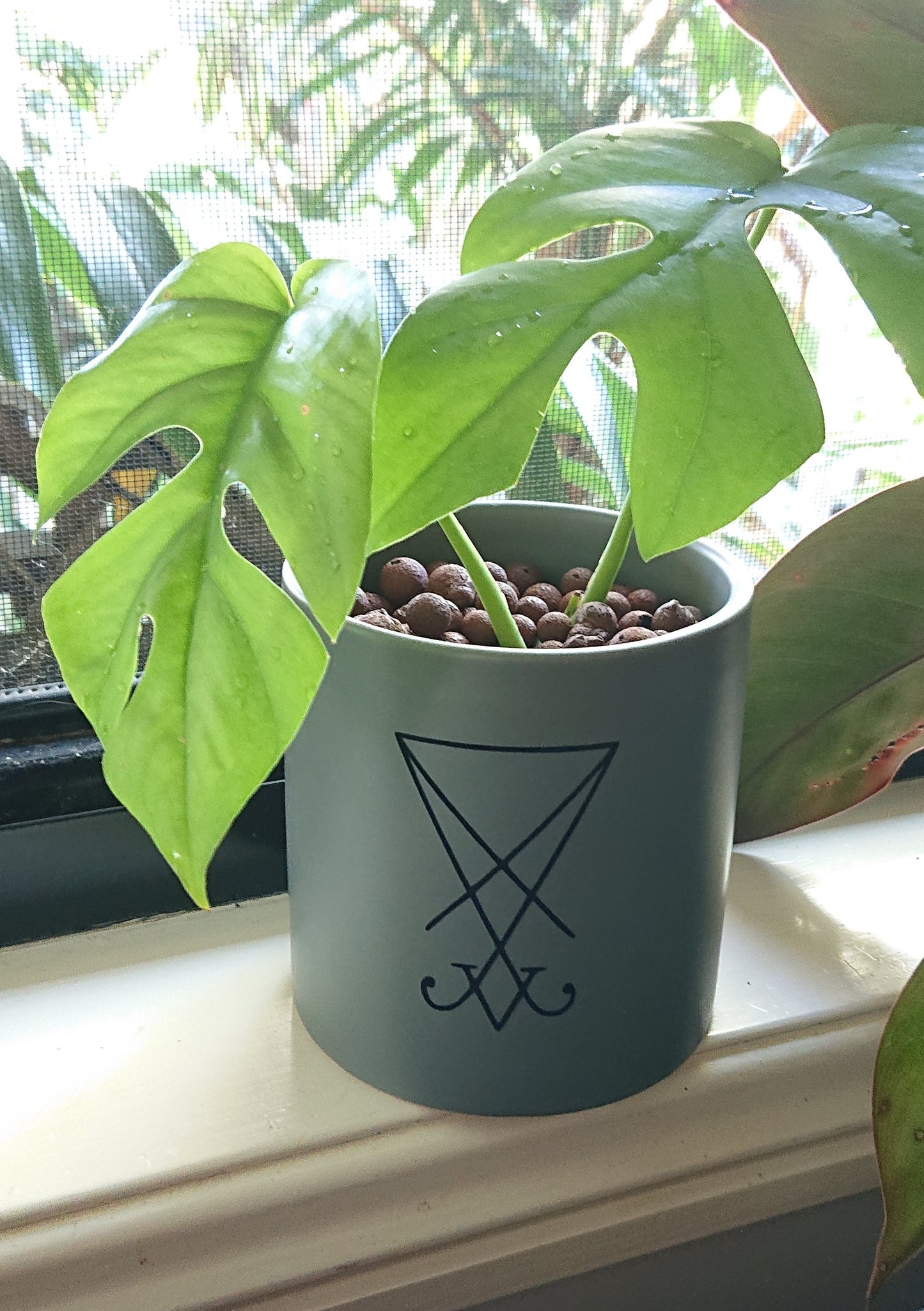 Sigil of Lucifer ⛧ Black on Grey