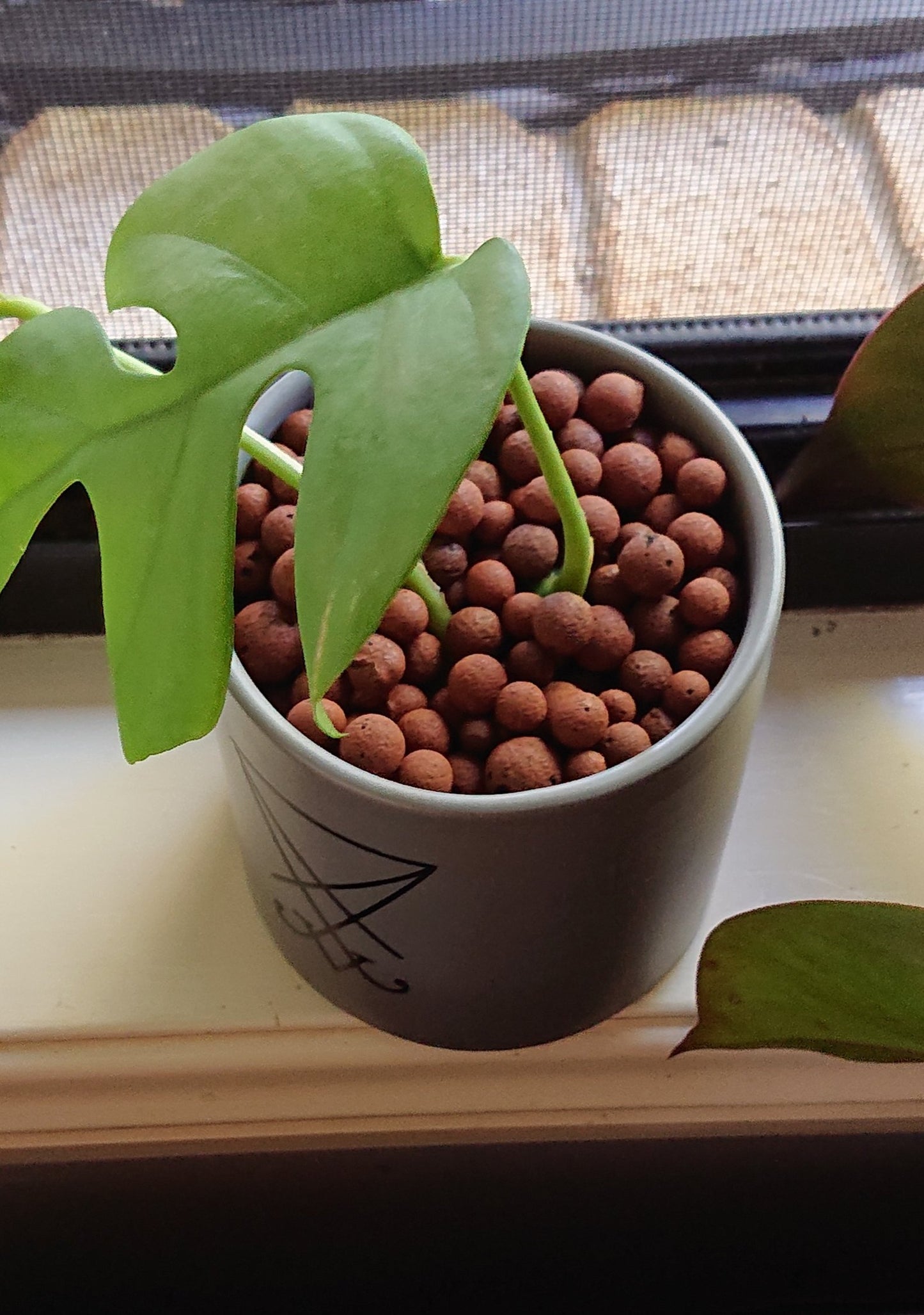 Sigil of Lucifer ⛧ Black on Grey