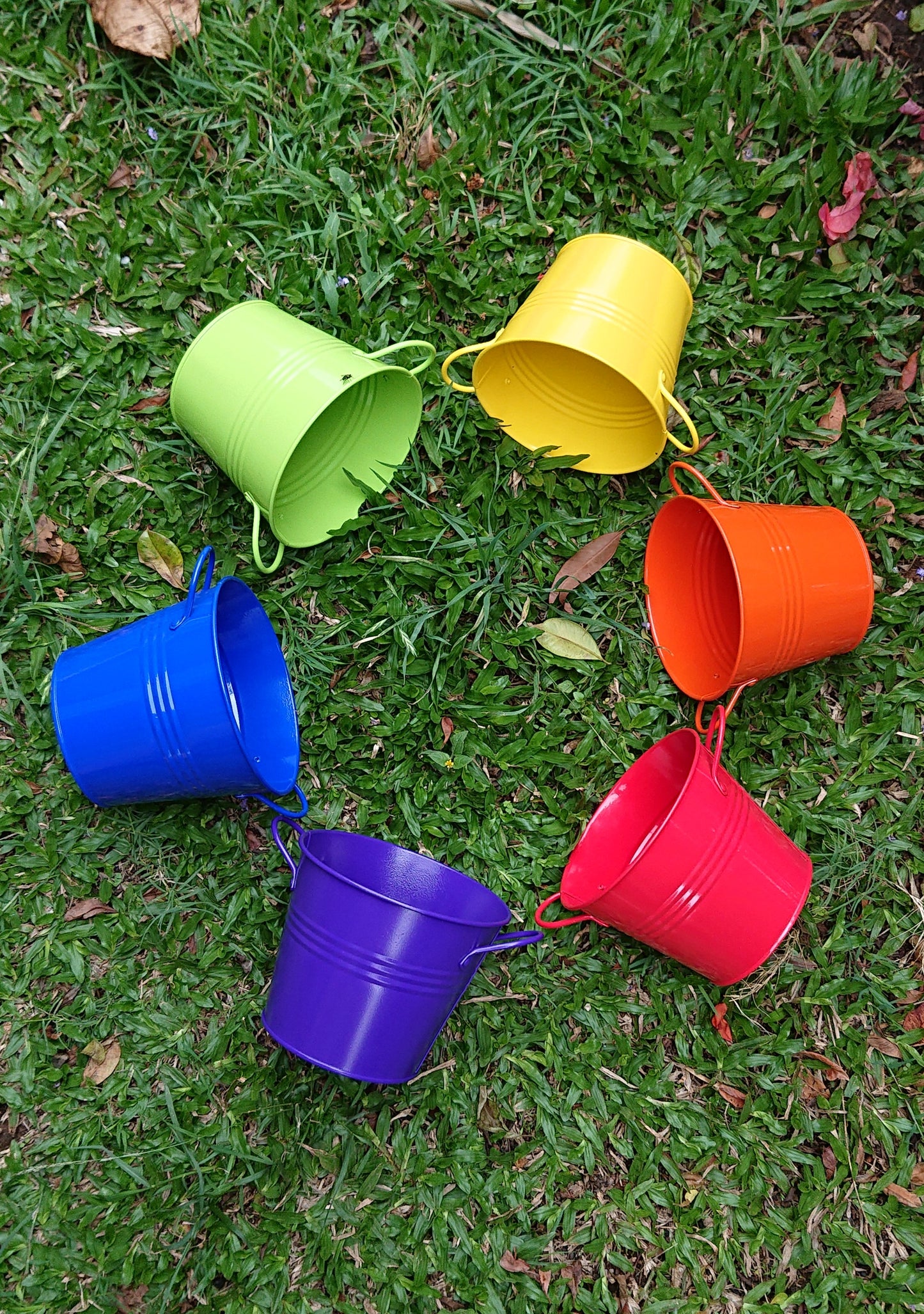Buckets of Pride 15cm