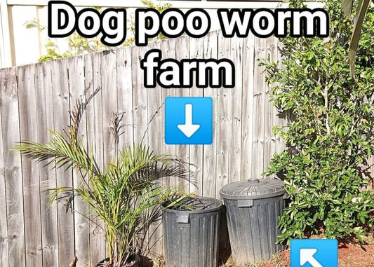 💩🐕Supa easy RENTER FRIENDLY Dog Poo Worm Farm🪱🧑‍🌾