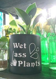 Wet Ass Plants