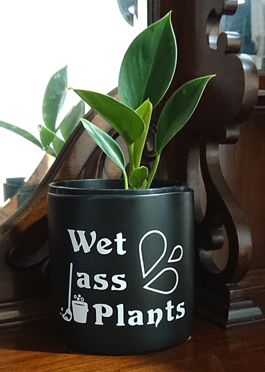 Wet Ass Plants