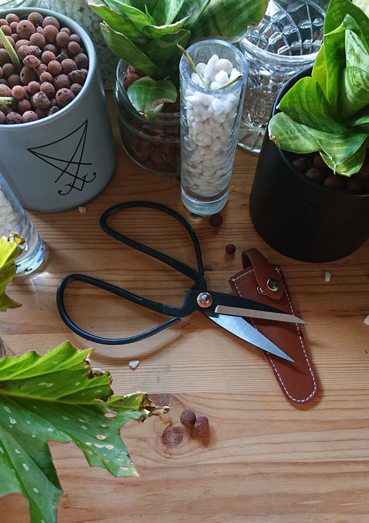 Rustic AF Scissor